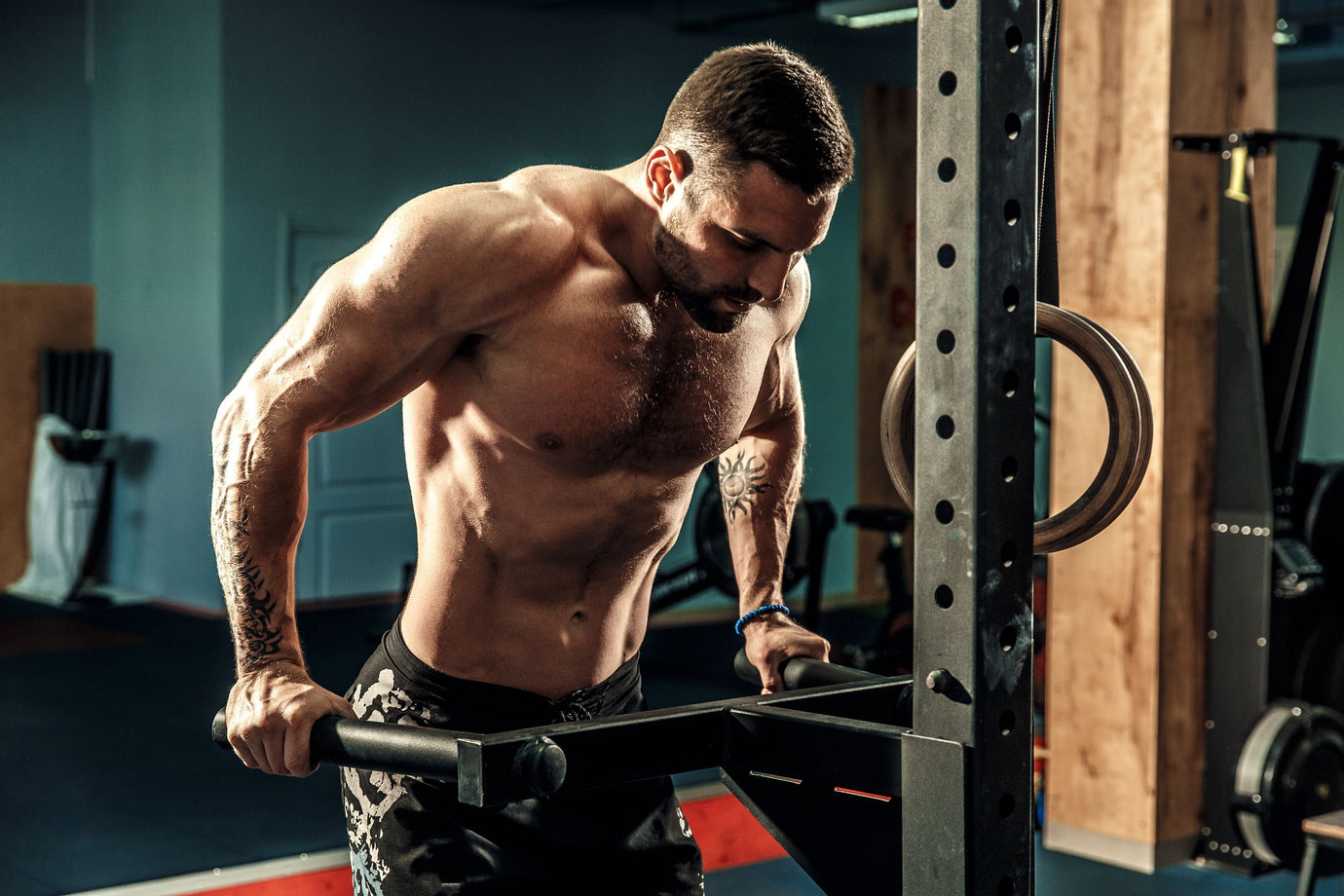 Muscle Building