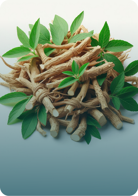 Ashwagandha roots and leaves
